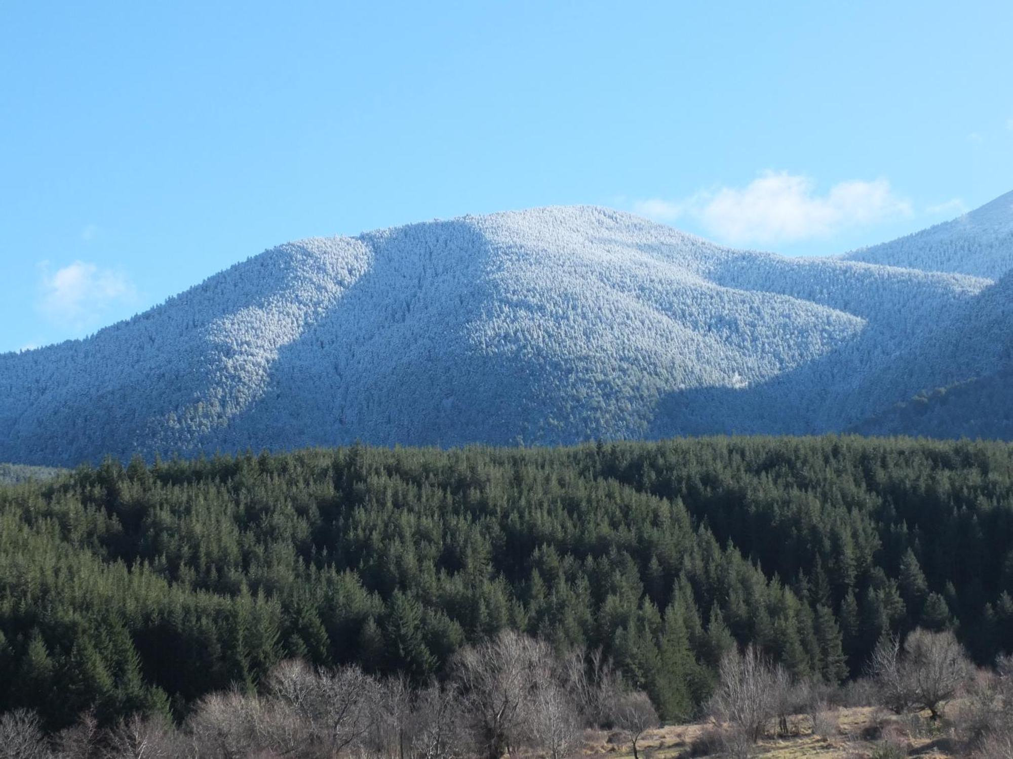 Pirin Heights A-21 Близо До Ски Пистата Bansko Exteriör bild